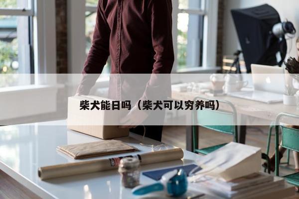 柴犬能日吗（柴犬可以穷养吗）