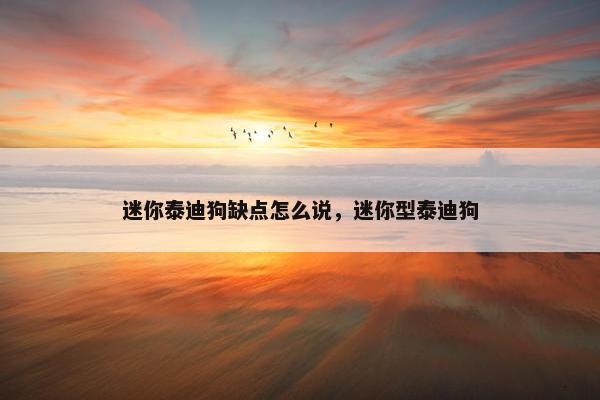 迷你泰迪狗缺点怎么说，迷你型泰迪狗