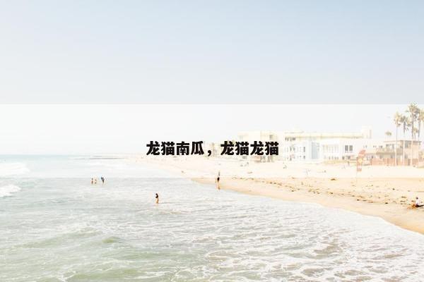 龙猫南瓜，龙猫龙猫