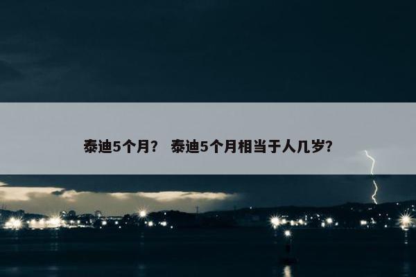泰迪5个月？ 泰迪5个月相当于人几岁？