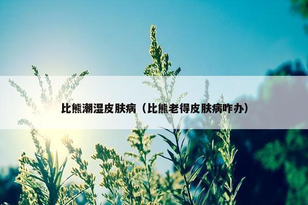 比熊潮湿皮肤病（比熊老得皮肤病咋办）