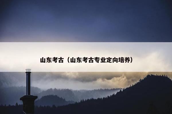 山东考古（山东考古专业定向培养）
