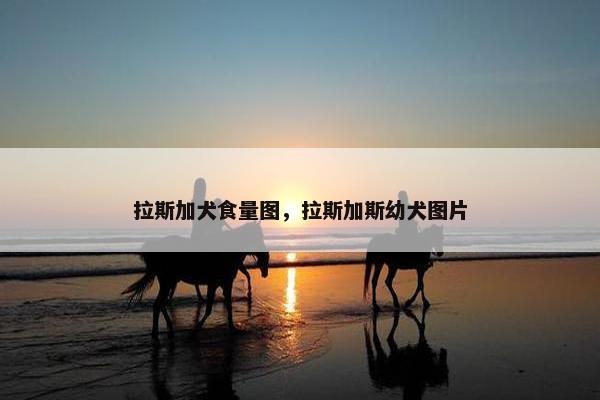 拉斯加犬食量图，拉斯加斯幼犬图片