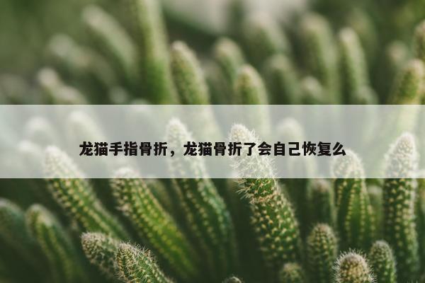 龙猫手指骨折，龙猫骨折了会自己恢复么