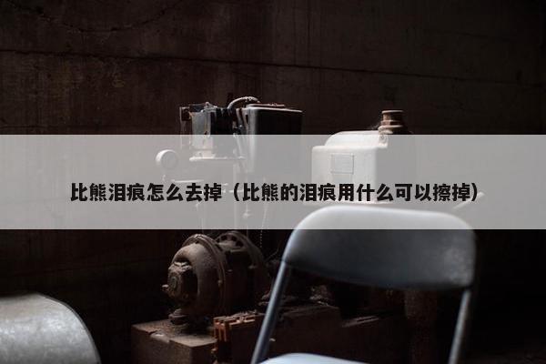 比熊泪痕怎么去掉（比熊的泪痕用什么可以擦掉）