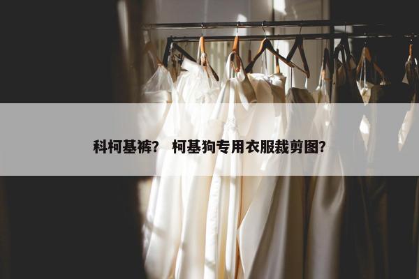 科柯基裤？ 柯基狗专用衣服裁剪图？