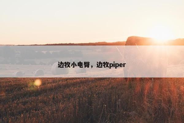 边牧小电臀，边牧piper