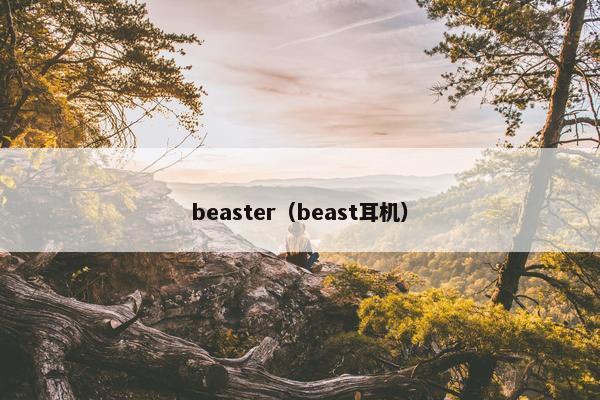 beaster（beast耳机）