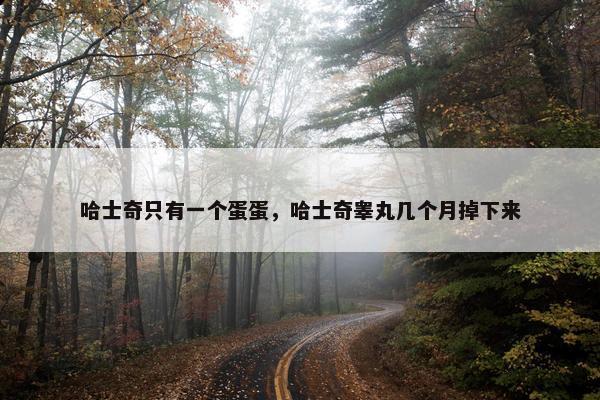 哈士奇只有一个蛋蛋，哈士奇睾丸几个月掉下来