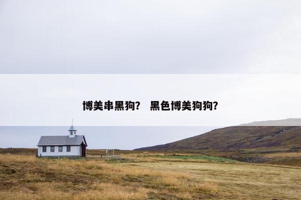博美串黑狗？ 黑色博美狗狗？