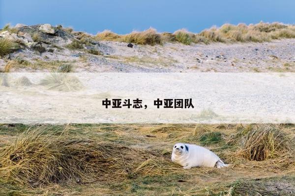 中亚斗志，中亚团队