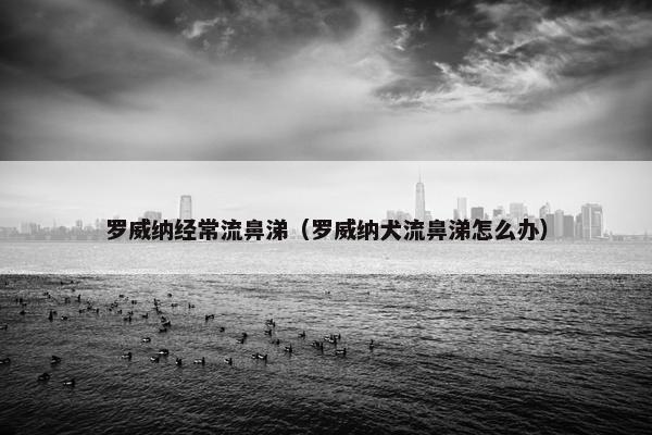 罗威纳经常流鼻涕（罗威纳犬流鼻涕怎么办）