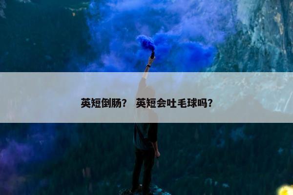 英短倒肠？ 英短会吐毛球吗？