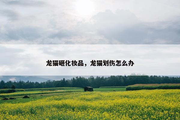 龙猫砸化妆品，龙猫划伤怎么办