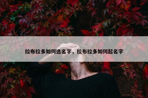 拉布拉多如何选名字，拉布拉多如何起名字