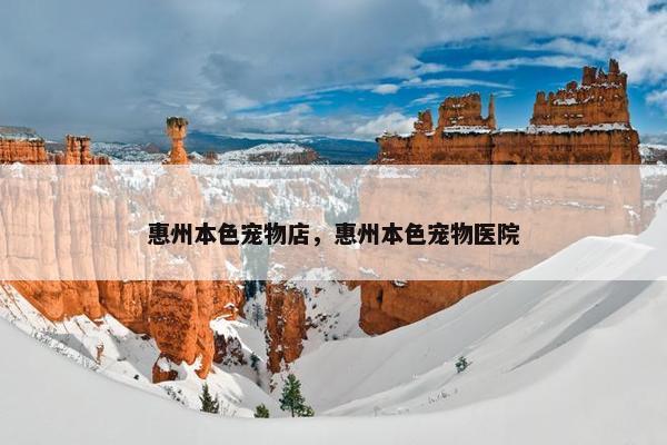 惠州本色宠物店，惠州本色宠物医院