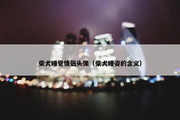 柴犬睡觉情侣头像（柴犬睡姿的含义）