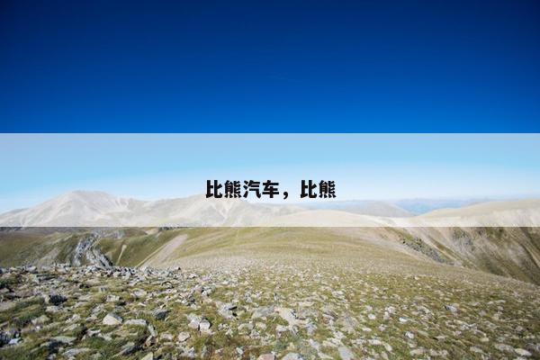 比熊汽车，比熊