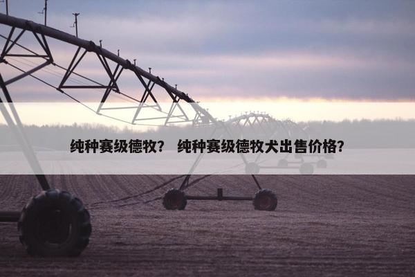 纯种赛级德牧？ 纯种赛级德牧犬出售价格？