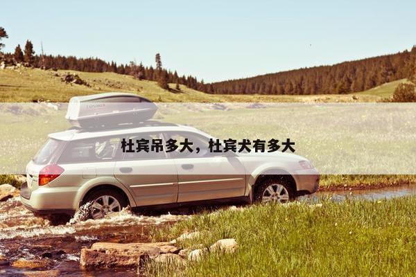 杜宾吊多大，杜宾犬有多大