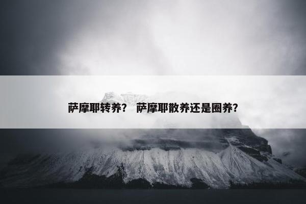 萨摩耶转养？ 萨摩耶散养还是圈养？