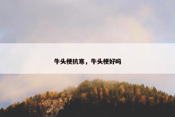 牛头梗抗寒，牛头梗好吗