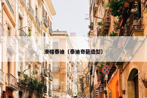 滑稽泰迪（泰迪奇葩造型）