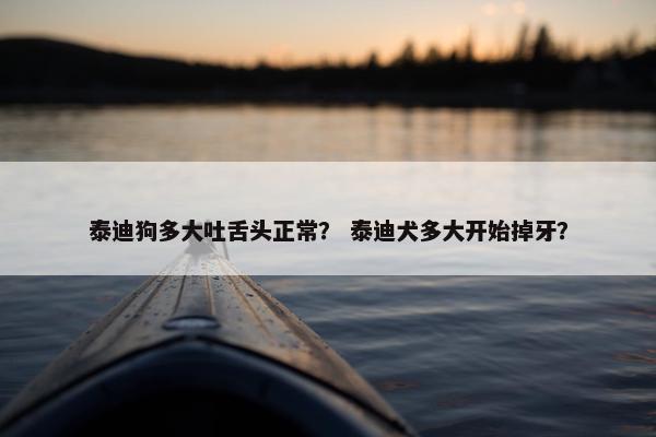 泰迪狗多大吐舌头正常？ 泰迪犬多大开始掉牙？