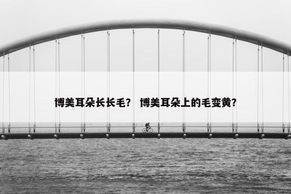 博美耳朵长长毛？ 博美耳朵上的毛变黄？