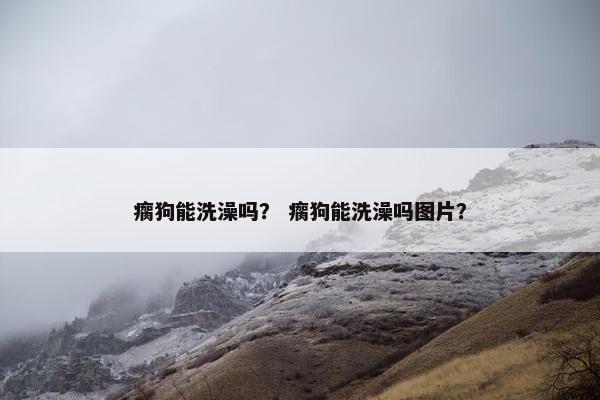 瘸狗能洗澡吗？ 瘸狗能洗澡吗图片？