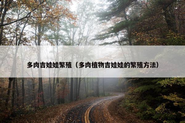 多肉吉娃娃繁殖（多肉植物吉娃娃的繁殖方法）