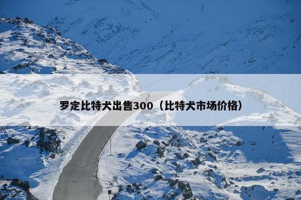 罗定比特犬出售300（比特犬市场价格）