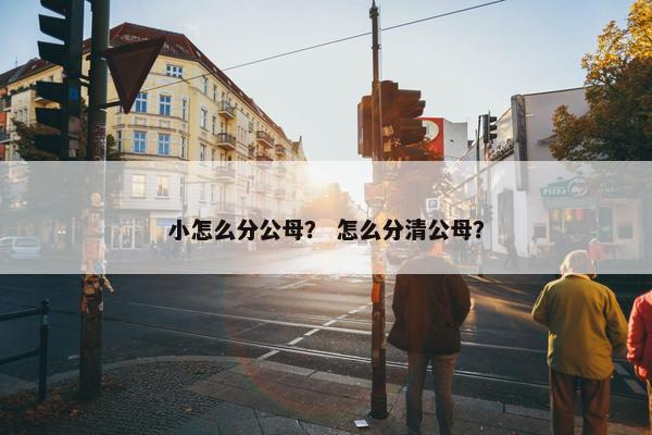 小怎么分公母？ 怎么分清公母？