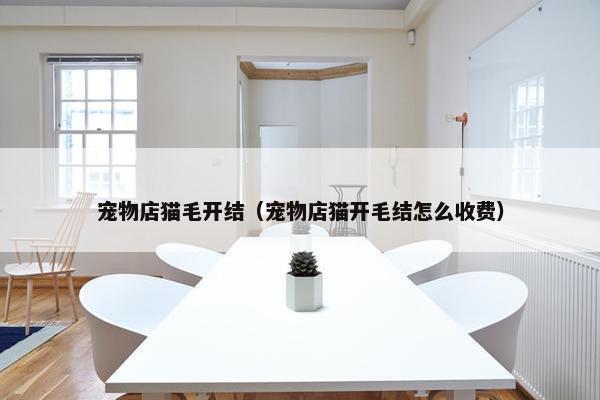 宠物店猫毛开结（宠物店猫开毛结怎么收费）