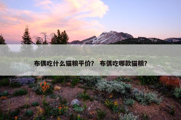 布偶吃什么猫粮平价？ 布偶吃哪款猫粮？