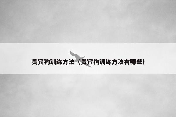贵宾狗训练方法（贵宾狗训练方法有哪些）