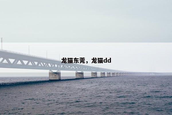 龙猫东莞，龙猫dd
