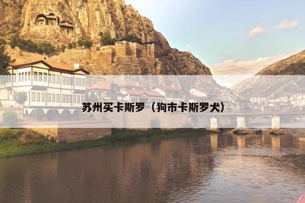 苏州买卡斯罗（狗市卡斯罗犬）