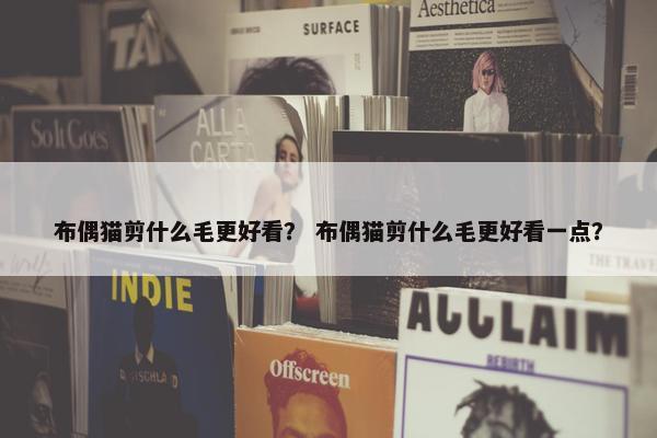 布偶猫剪什么毛更好看？ 布偶猫剪什么毛更好看一点？