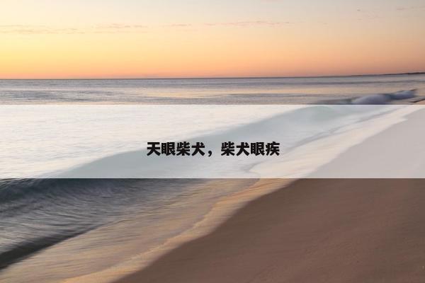 天眼柴犬，柴犬眼疾