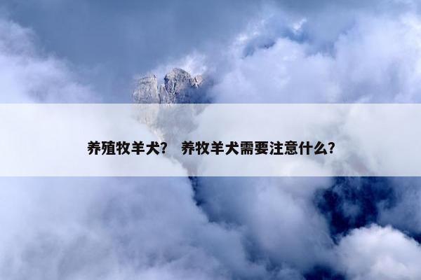 养殖牧羊犬？ 养牧羊犬需要注意什么？