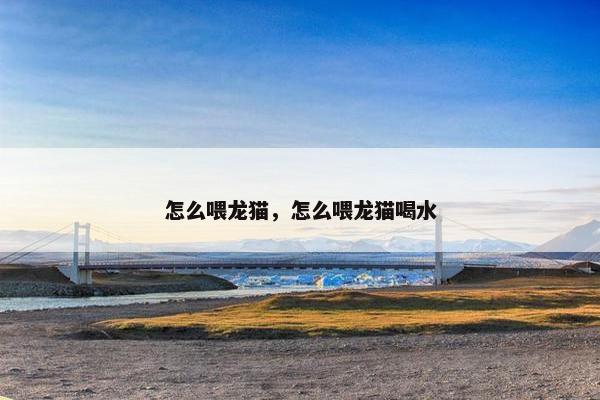 怎么喂龙猫，怎么喂龙猫喝水