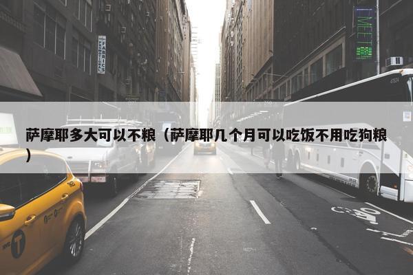 萨摩耶多大可以不粮（萨摩耶几个月可以吃饭不用吃狗粮）