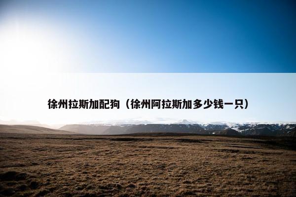 徐州拉斯加配狗（徐州阿拉斯加多少钱一只）