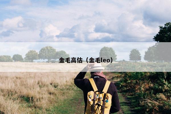 金毛高估（金毛leo）