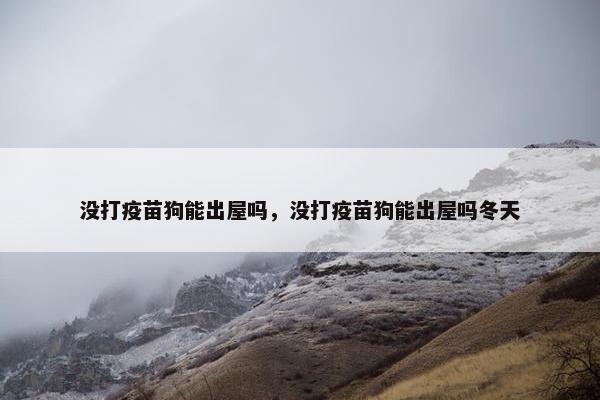 没打疫苗狗能出屋吗，没打疫苗狗能出屋吗冬天