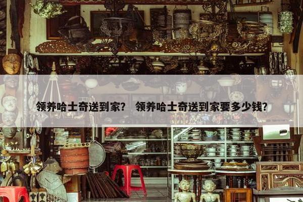 领养哈士奇送到家？ 领养哈士奇送到家要多少钱？