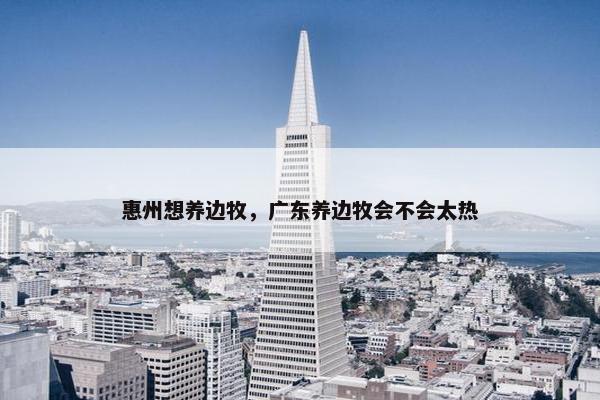 惠州想养边牧，广东养边牧会不会太热