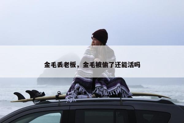 金毛丢老板，金毛被偷了还能活吗