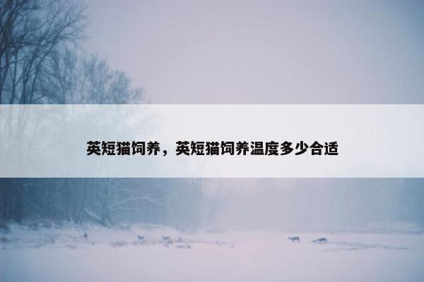 英短猫饲养，英短猫饲养温度多少合适